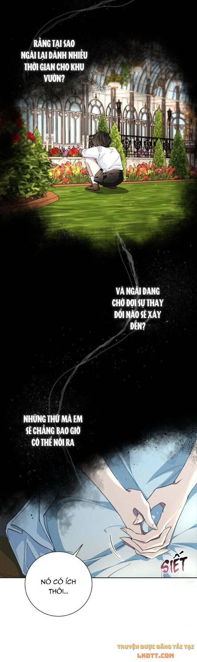 Ta Đã Từng Mong Nàng Biến Mất - Chương 28