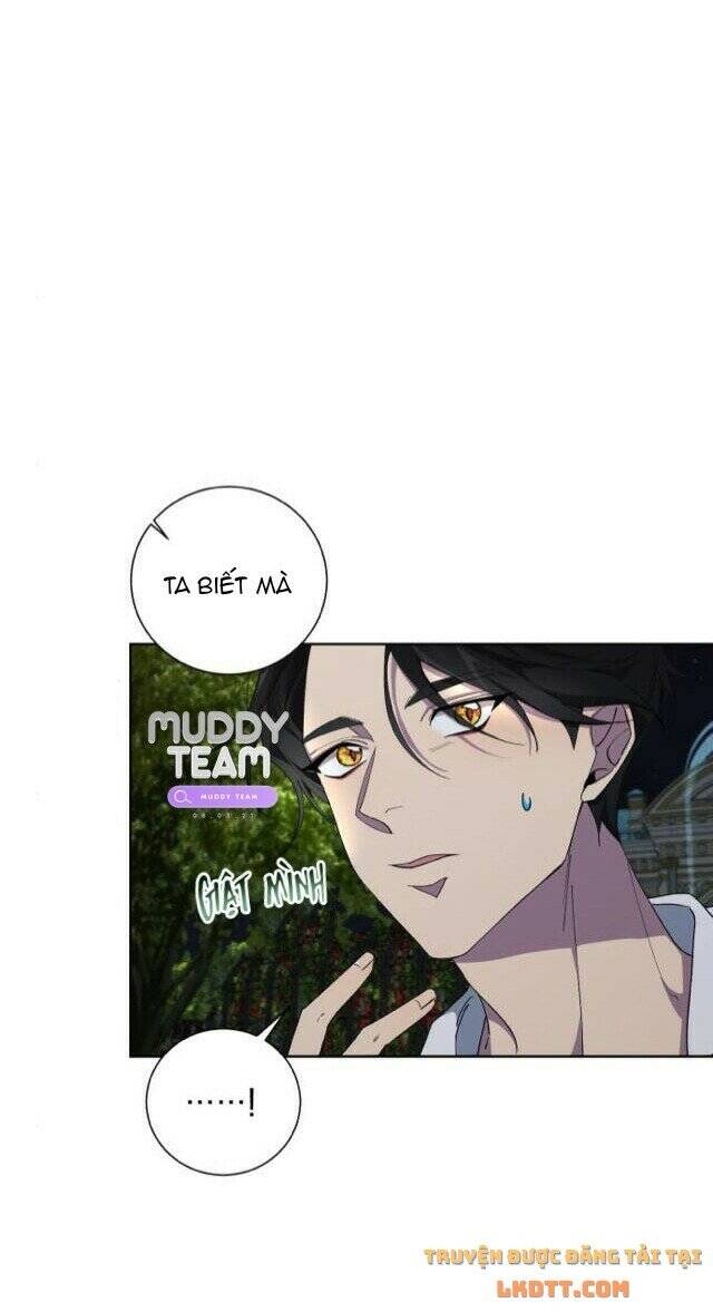 Ta Đã Từng Mong Nàng Biến Mất - Chương 28