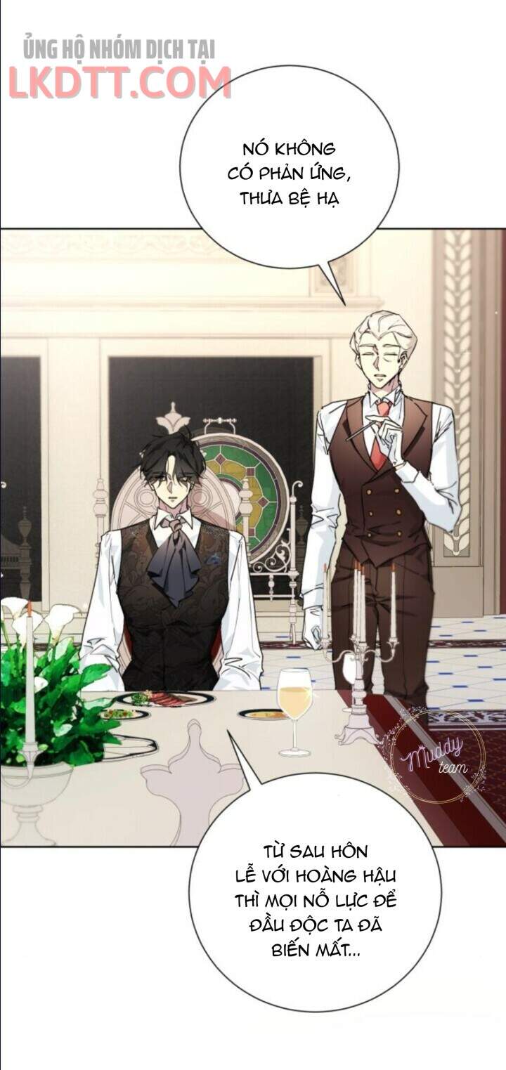 Ta Đã Từng Mong Nàng Biến Mất - Chương 8