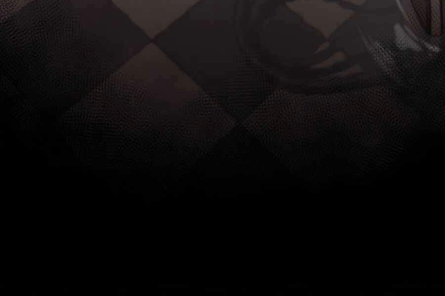 Kẻ Thách Đấu - Chương 16.5