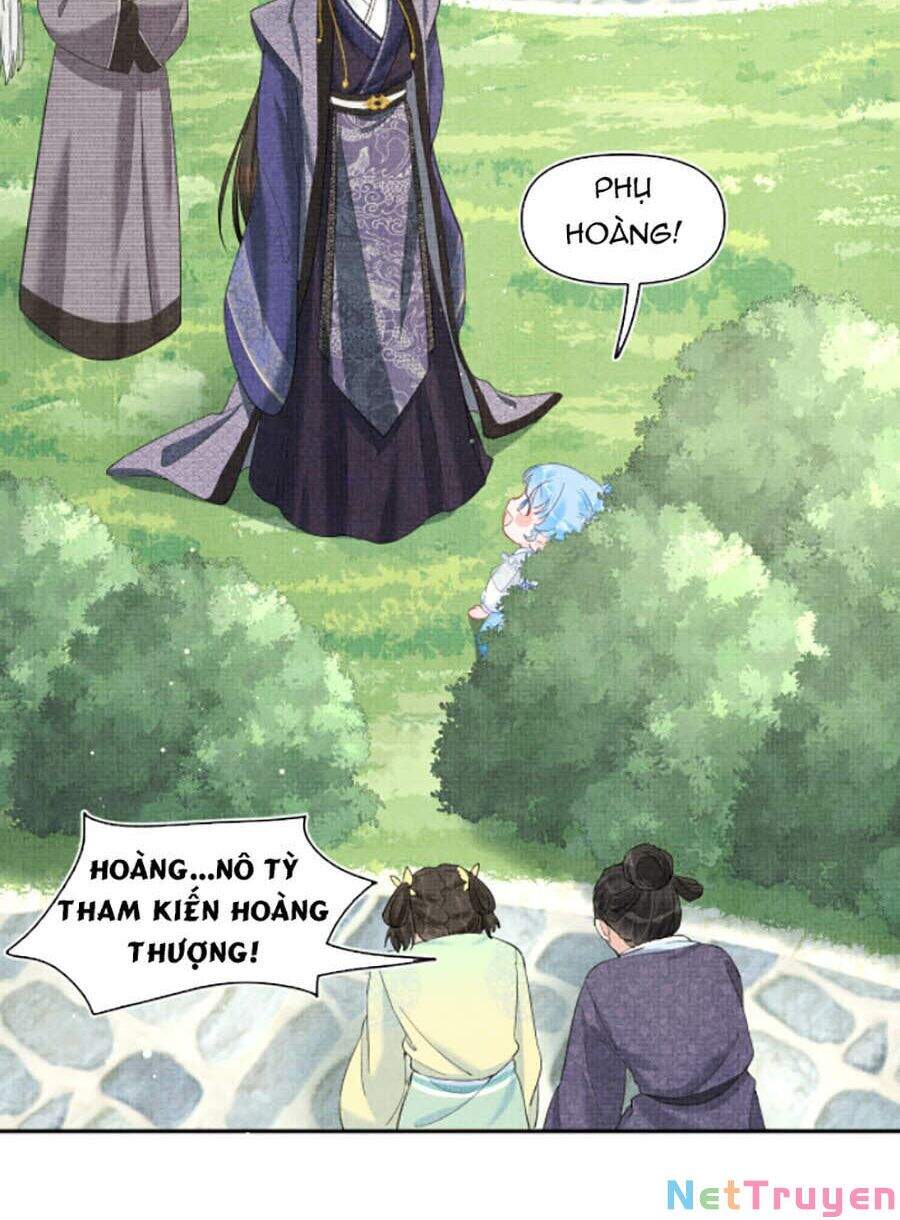 Giao Nhân Tể Tể Ba Tuổi Rồi! - Chương 12