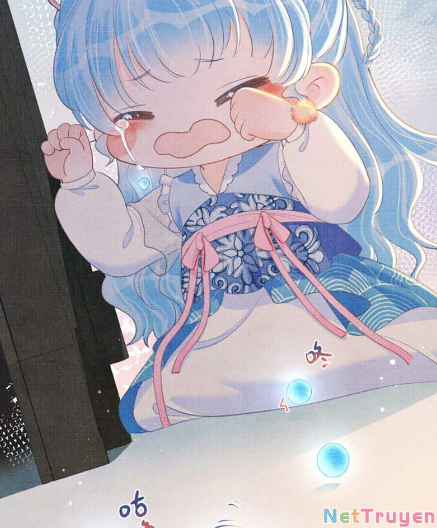 Giao Nhân Tể Tể Ba Tuổi Rồi! - Chương 13