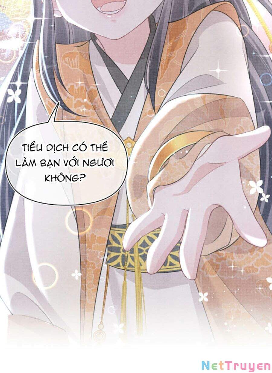 Giao Nhân Tể Tể Ba Tuổi Rồi! - Chương 13