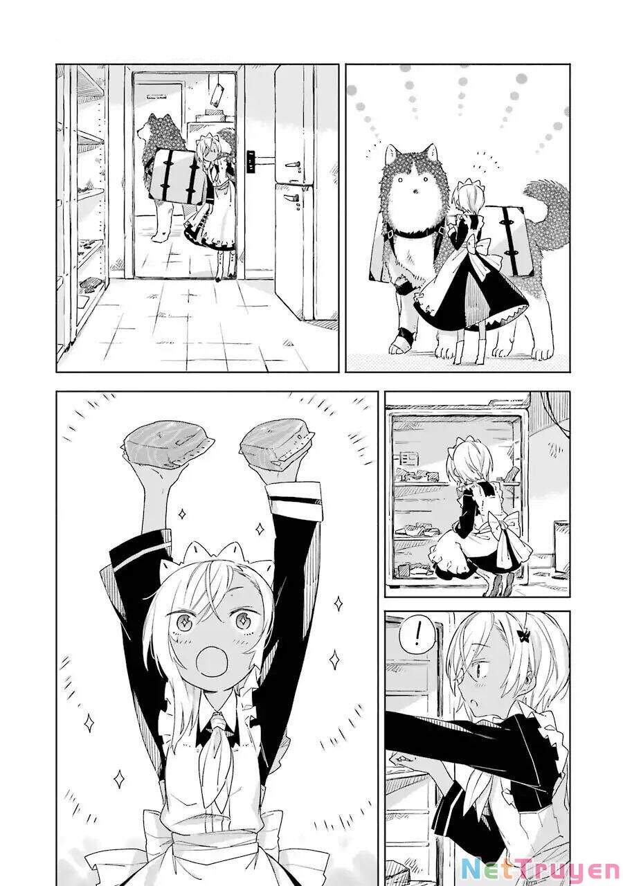 Our Lives After The Apocalypse - Chương 1