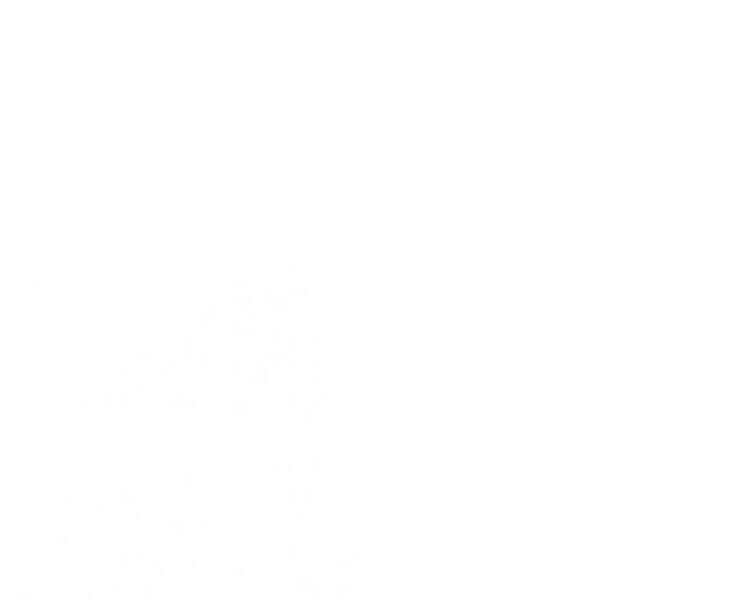 Nhiệm Vụ Đời Thật - Chương 17