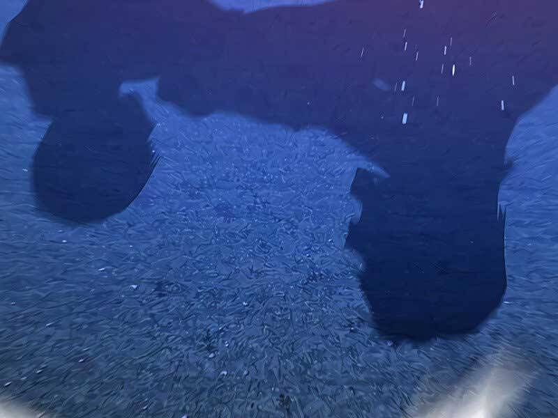 Nhiệm Vụ Đời Thật - Chương 42.5