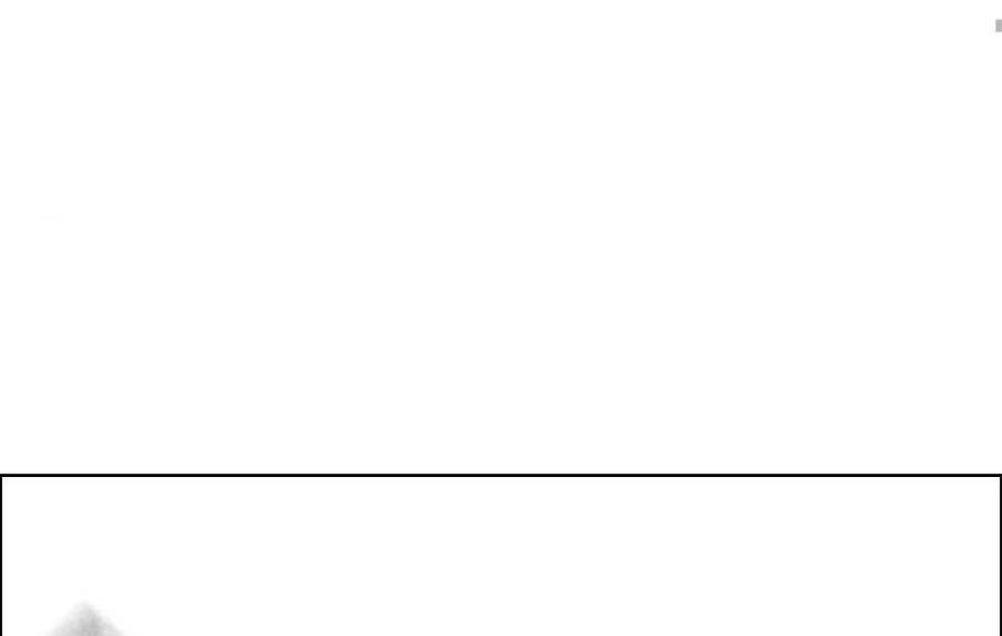 Nhiệm Vụ Đời Thật - Chương 14.5