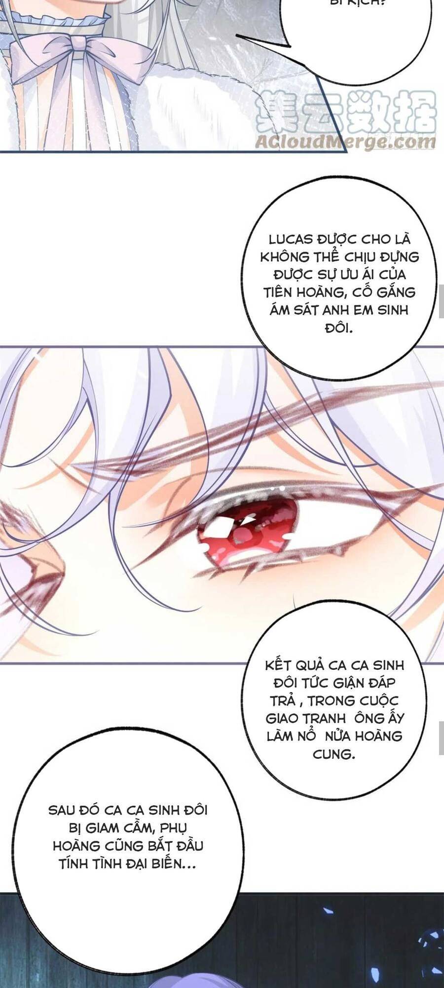 Ngày Nào Đó Trở Thành Công Chúa Tế Phẩm - Chương 68 - Trang 15