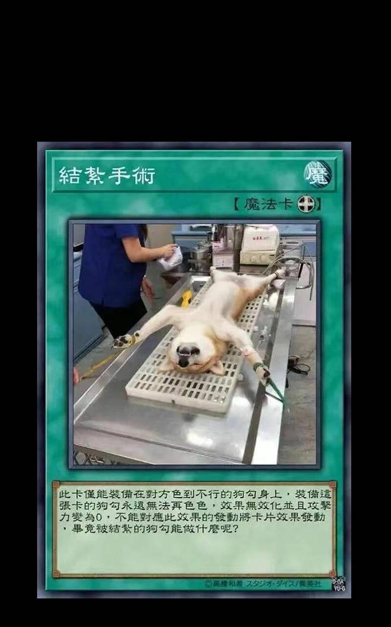 Vú Em Vô Địch - Chương 30