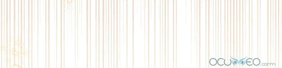 Lòng Trung Thành Với Kẻ Ác - Chương 1