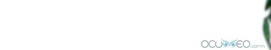 Lòng Trung Thành Với Kẻ Ác - Chương 1