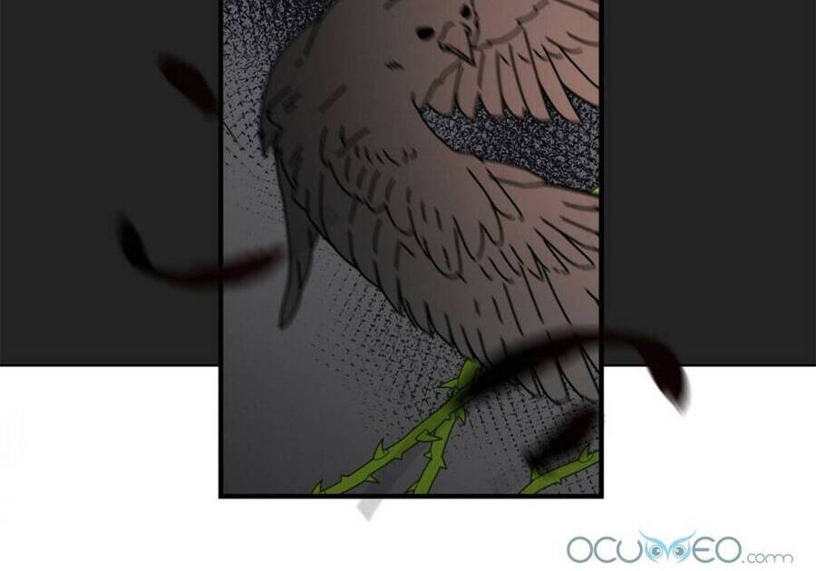 Lòng Trung Thành Với Kẻ Ác - Chương 3