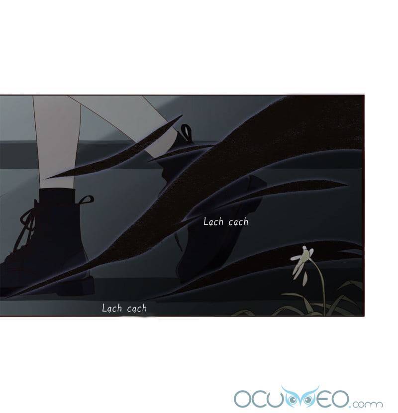 Ôm Hôn Mạc Nhiên - Chương 11