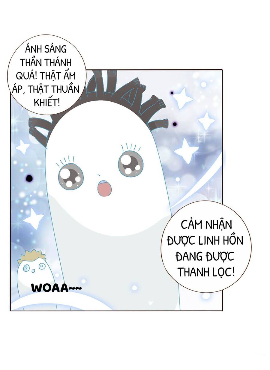 Ôm Hôn Mạc Nhiên - Chương 13