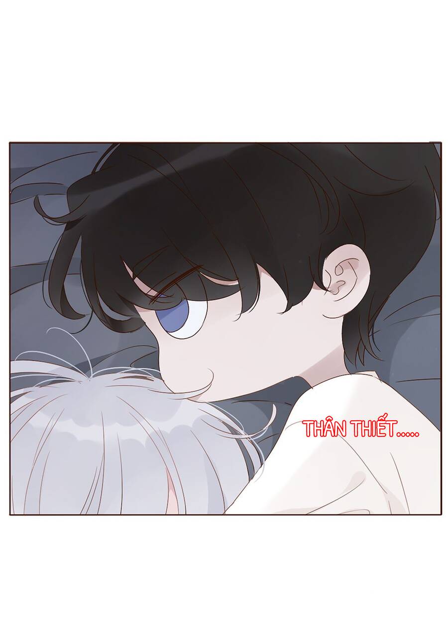 Ôm Hôn Mạc Nhiên - Chương 13