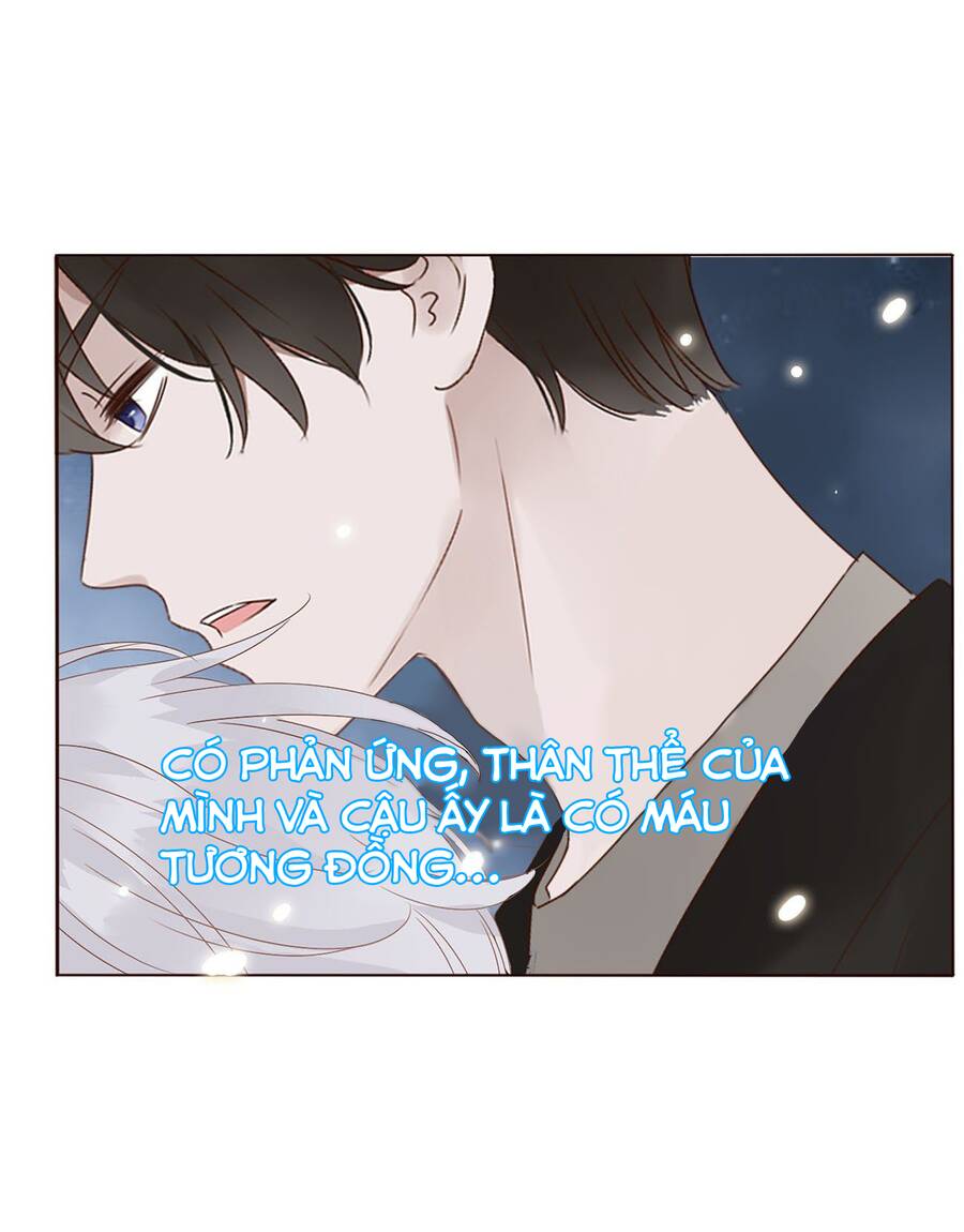 Ôm Hôn Mạc Nhiên - Chương 13