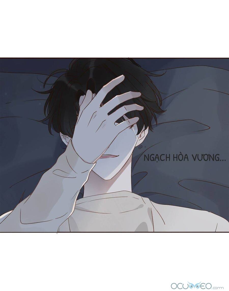 Ôm Hôn Mạc Nhiên - Chương 14