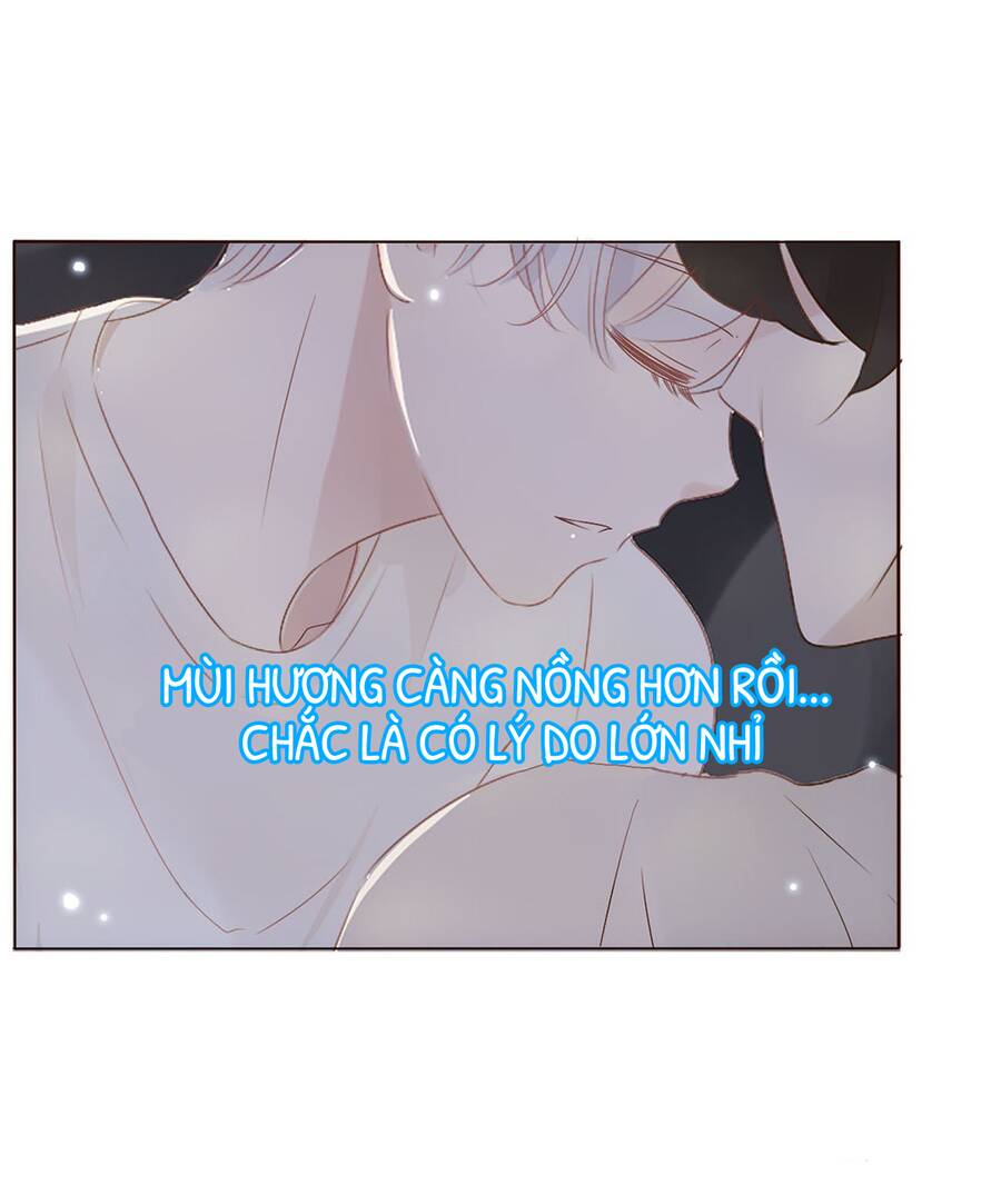 Ôm Hôn Mạc Nhiên - Chương 14