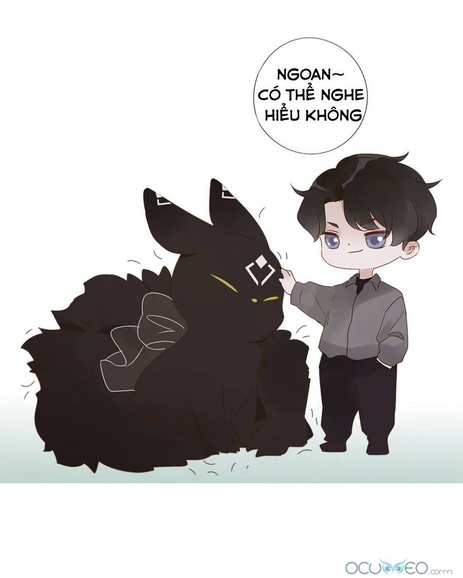 Ôm Hôn Mạc Nhiên - Chương 19