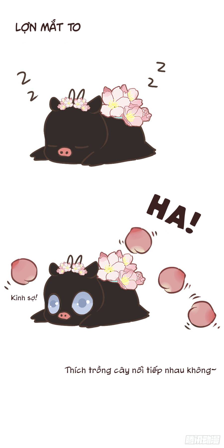 Ôm Hôn Mạc Nhiên - Chương 20