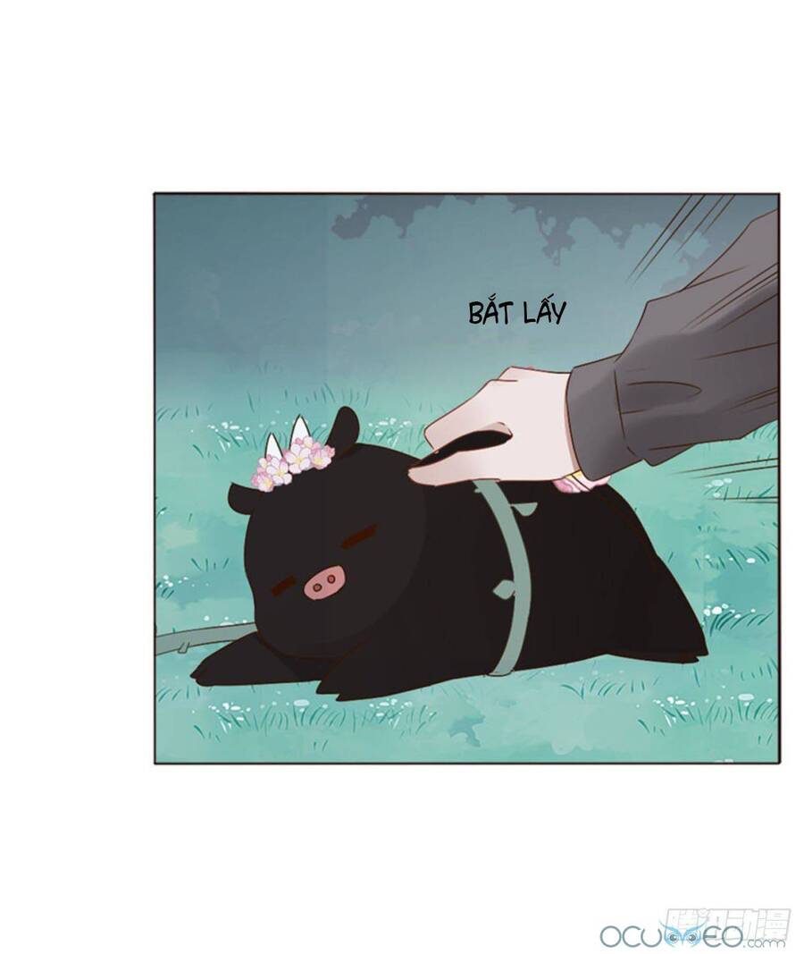 Ôm Hôn Mạc Nhiên - Chương 21