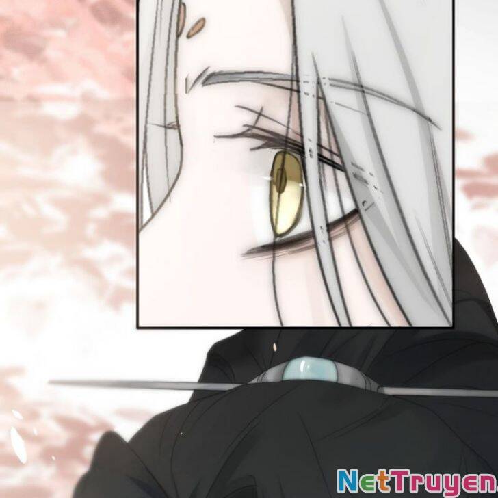 Nguyệt Trụy Trọng Minh - Chương 15