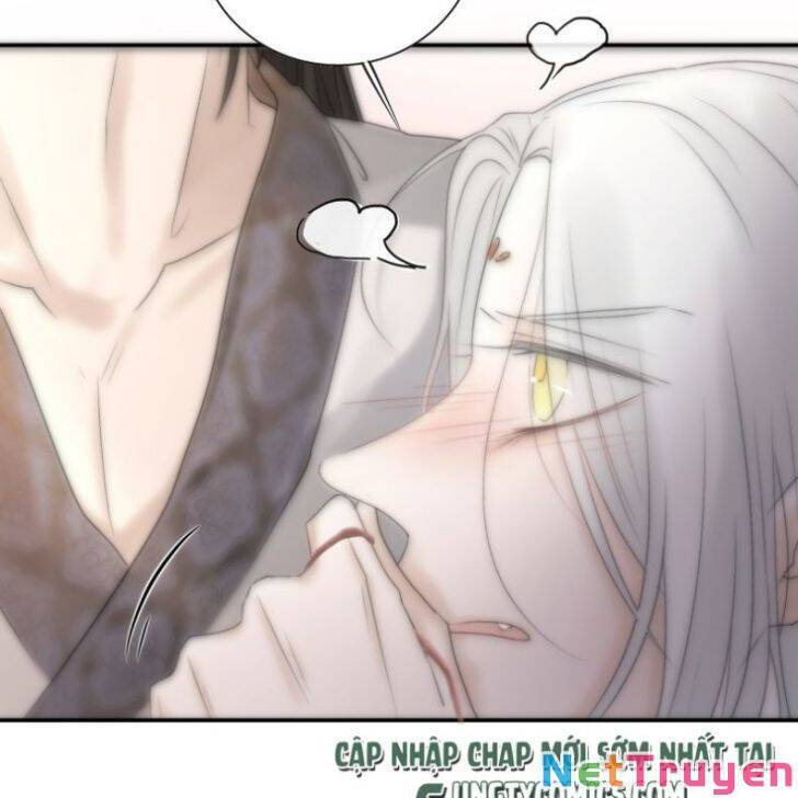 Nguyệt Trụy Trọng Minh - Chương 17