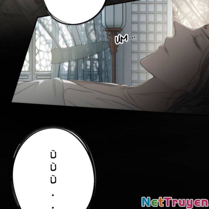 Nguyệt Trụy Trọng Minh - Chương 19