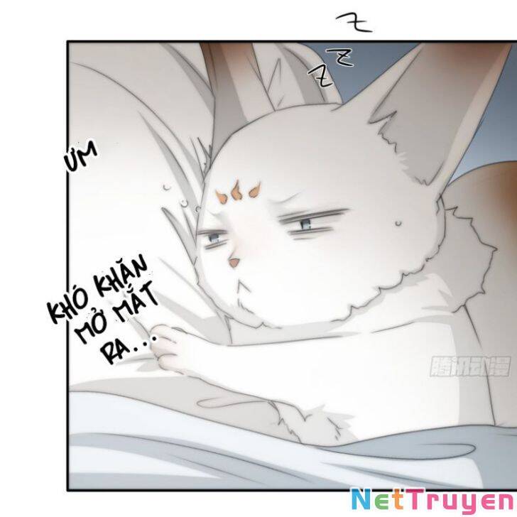 Nguyệt Trụy Trọng Minh - Chương 19