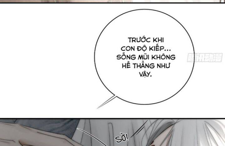 Nguyệt Trụy Trọng Minh - Chương 20