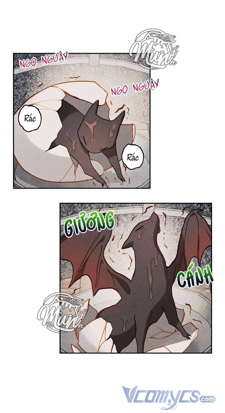 Nuôi Dưỡng Một Hắc Long - Chương 1