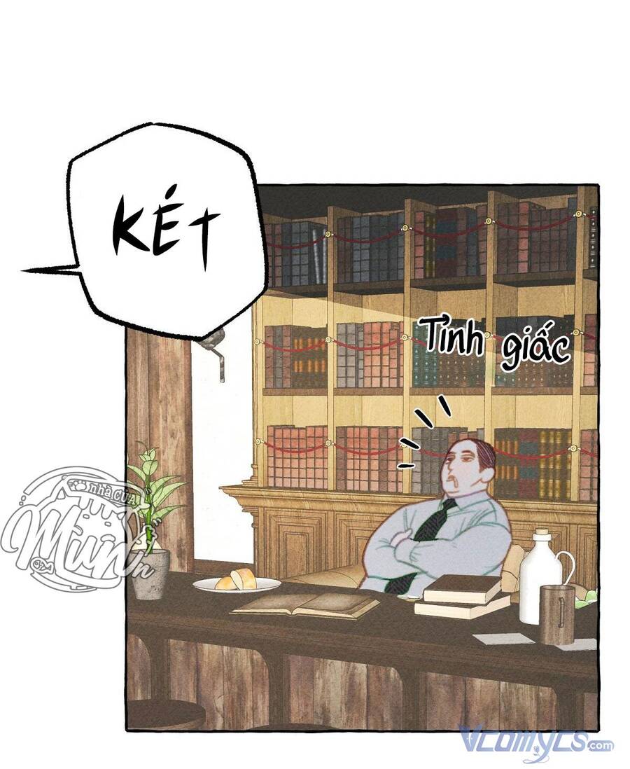 Nuôi Dưỡng Một Hắc Long - Chương 2