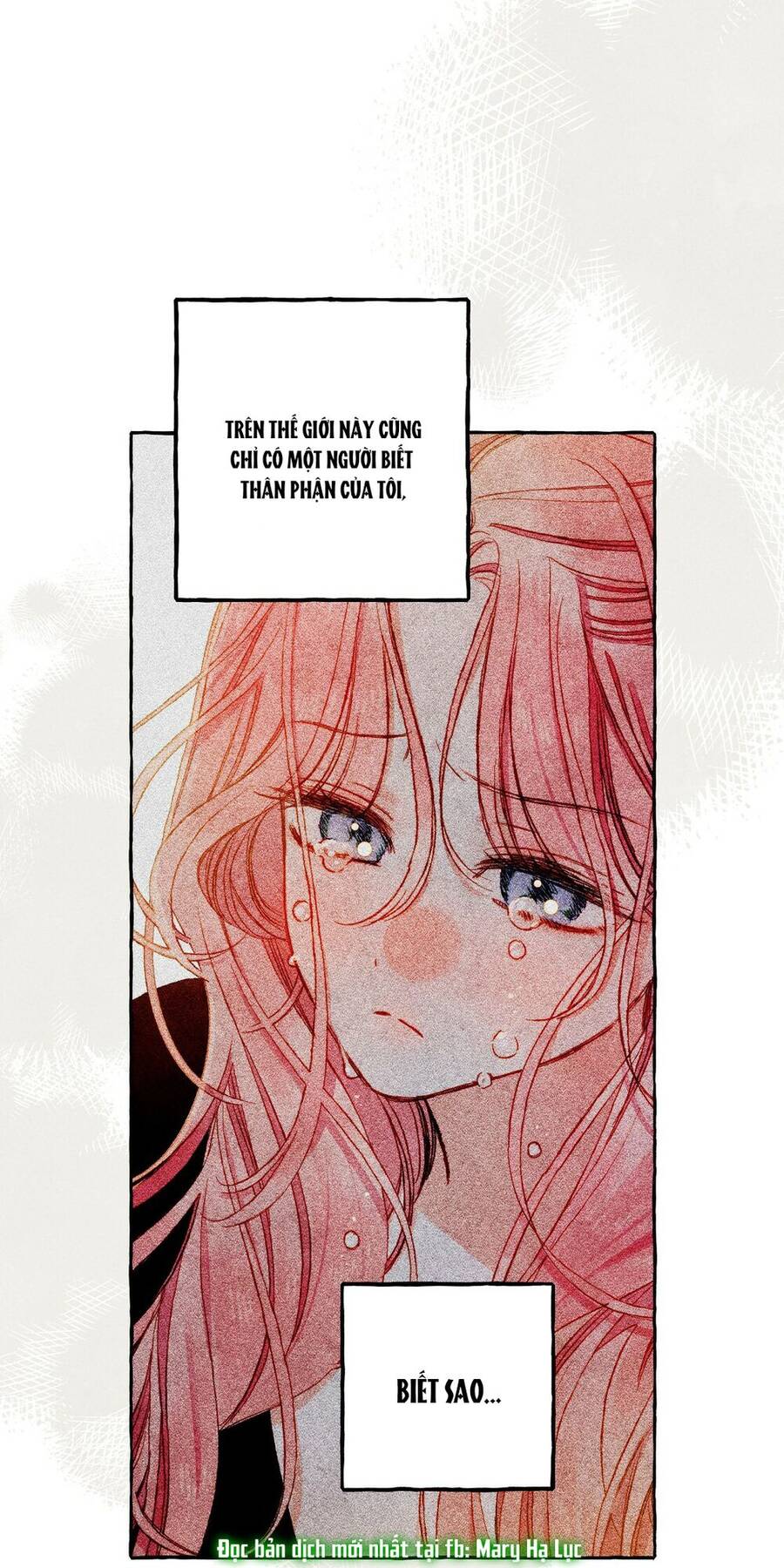 Nuôi Dưỡng Một Hắc Long - Chương 36.2