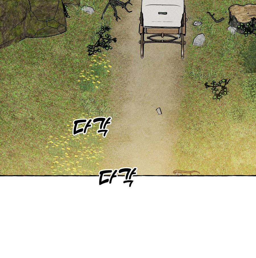 Nuôi Dưỡng Một Hắc Long - Chương 41