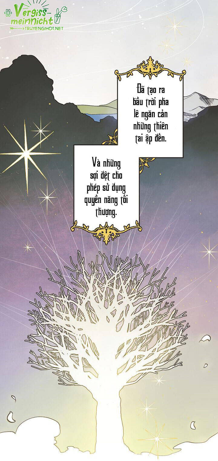 Thủy Tổ Pháp Sư - Chương 1