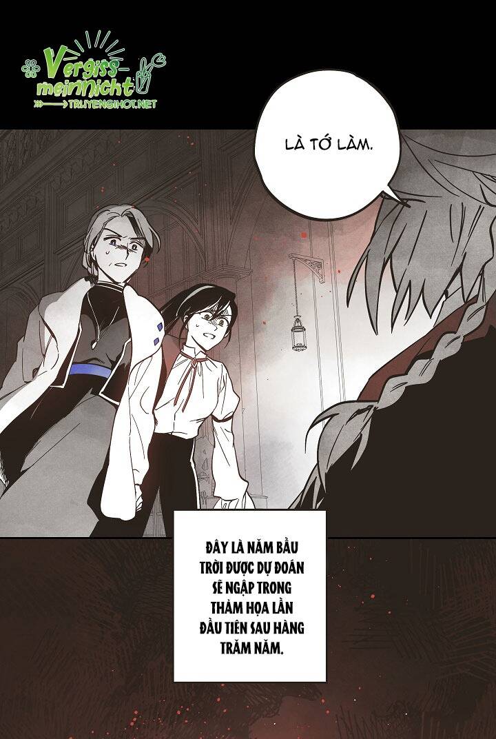 Thủy Tổ Pháp Sư - Chương 2