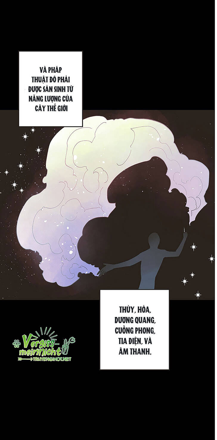 Thủy Tổ Pháp Sư - Chương 4