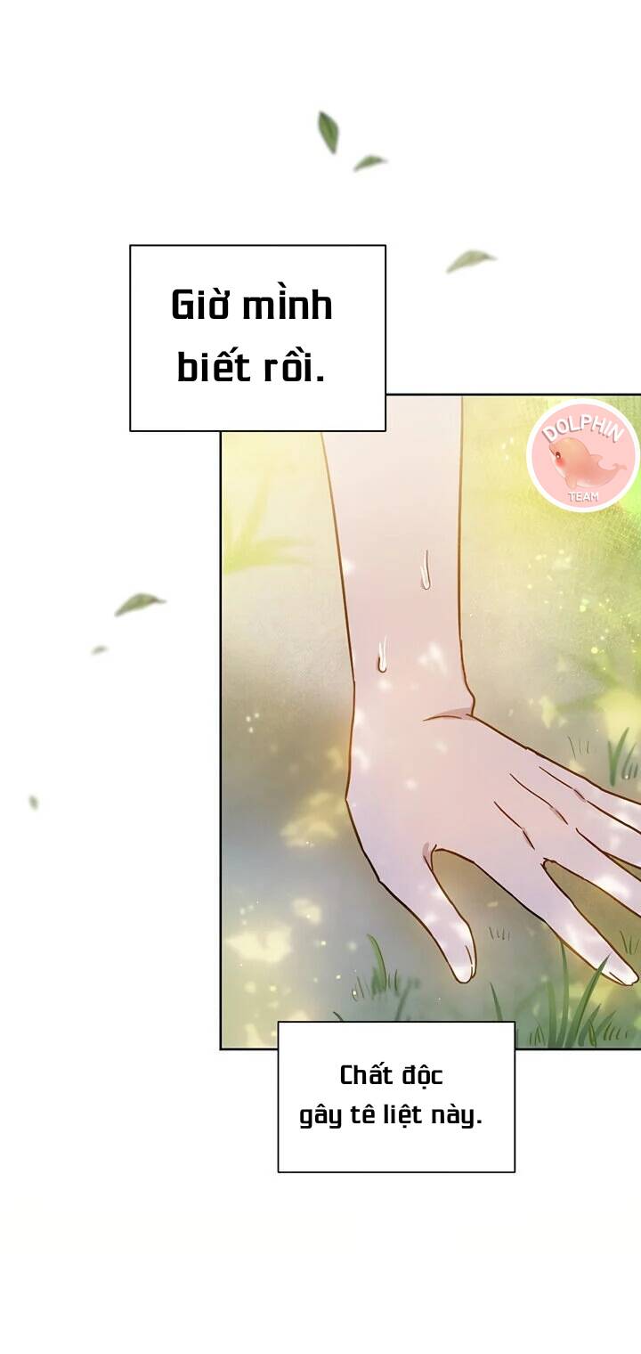 Cuộc Sống Trùng Sinh Của Công Nương - Chương 4