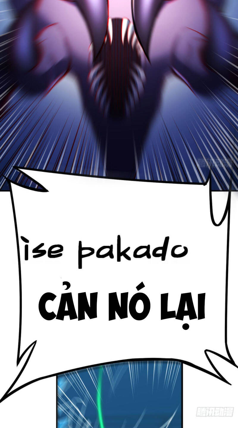 Trợ Lý Thánh Tôn, Ta Đã Vô Địch - Chương 19