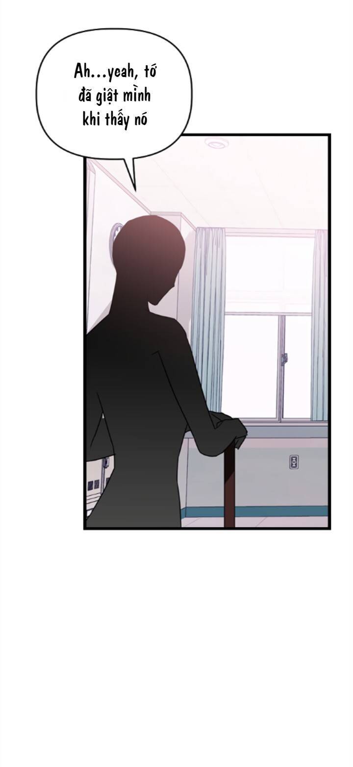 Sự Lãng Mạn Còn Tồn Tại - Chương 13