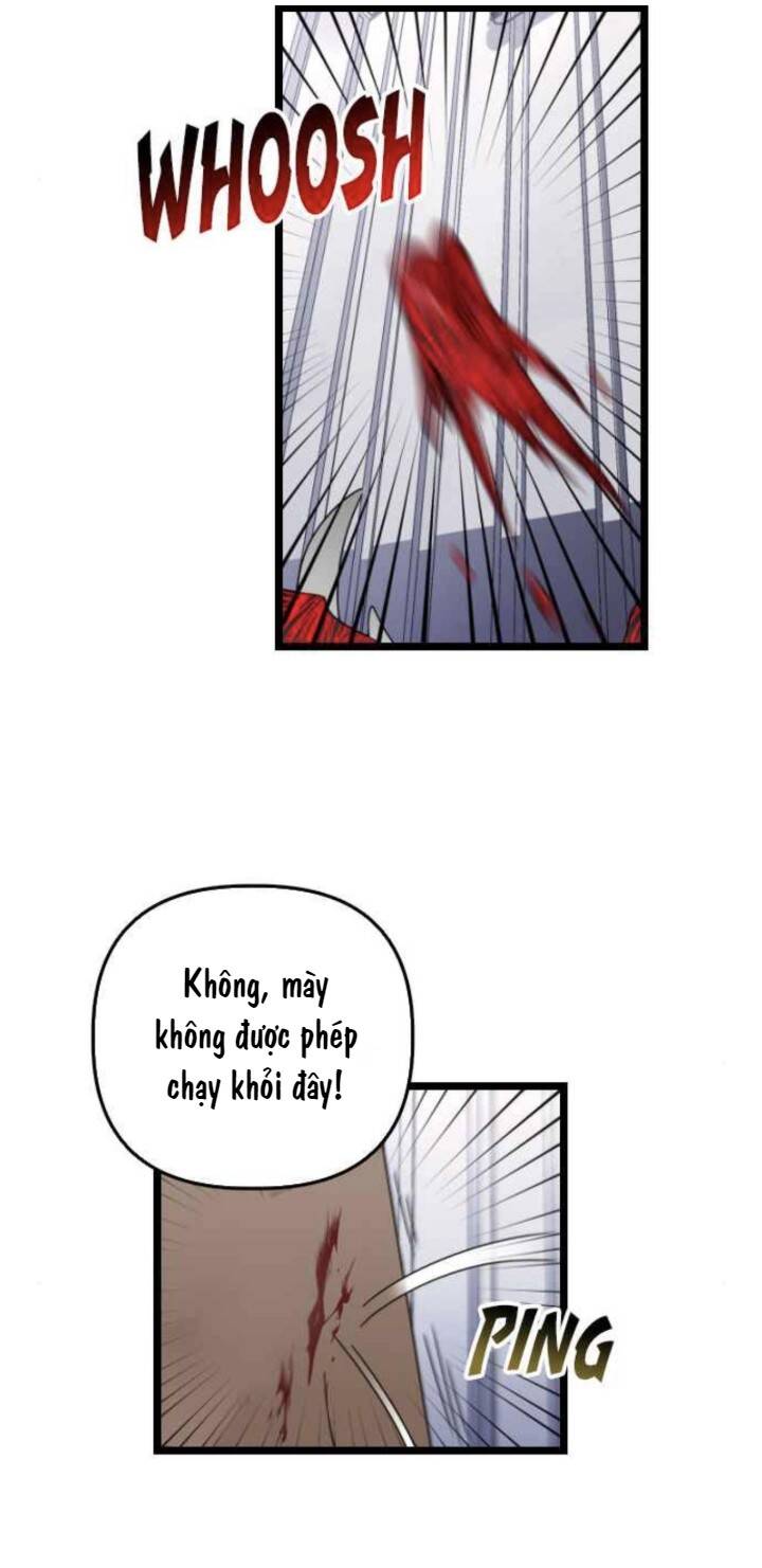 Sự Lãng Mạn Còn Tồn Tại - Chương 39