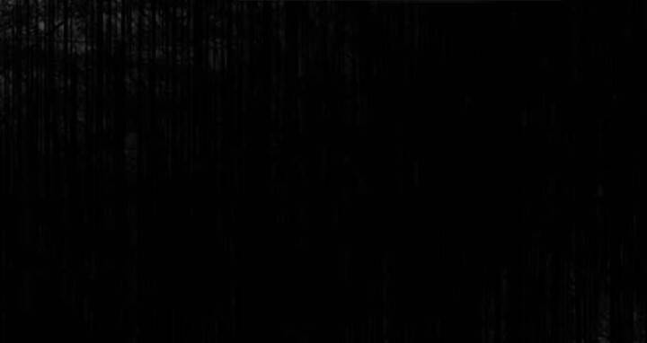 Sự Lãng Mạn Còn Tồn Tại - Chương 40