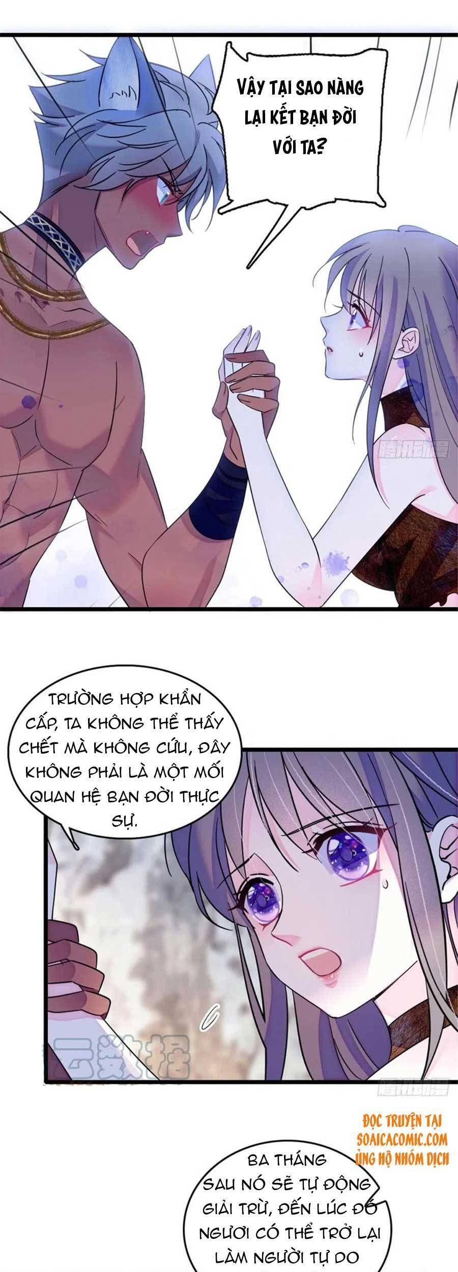 Manh Động Thú Thế - Chương 40