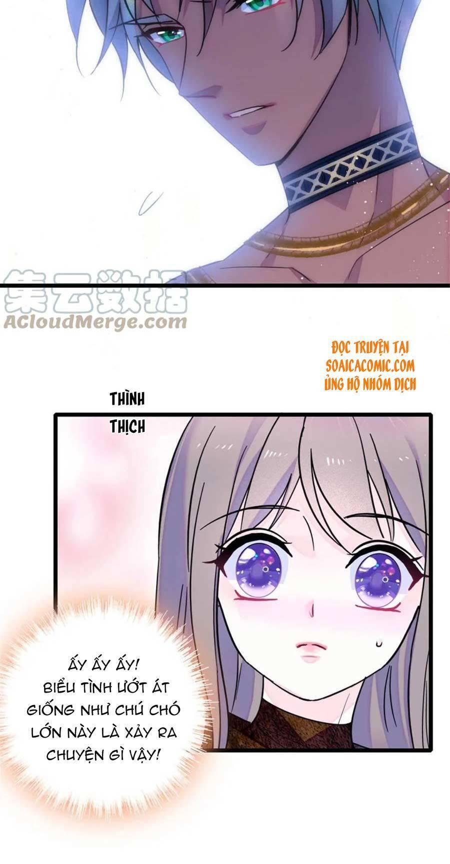 Manh Động Thú Thế - Chương 41