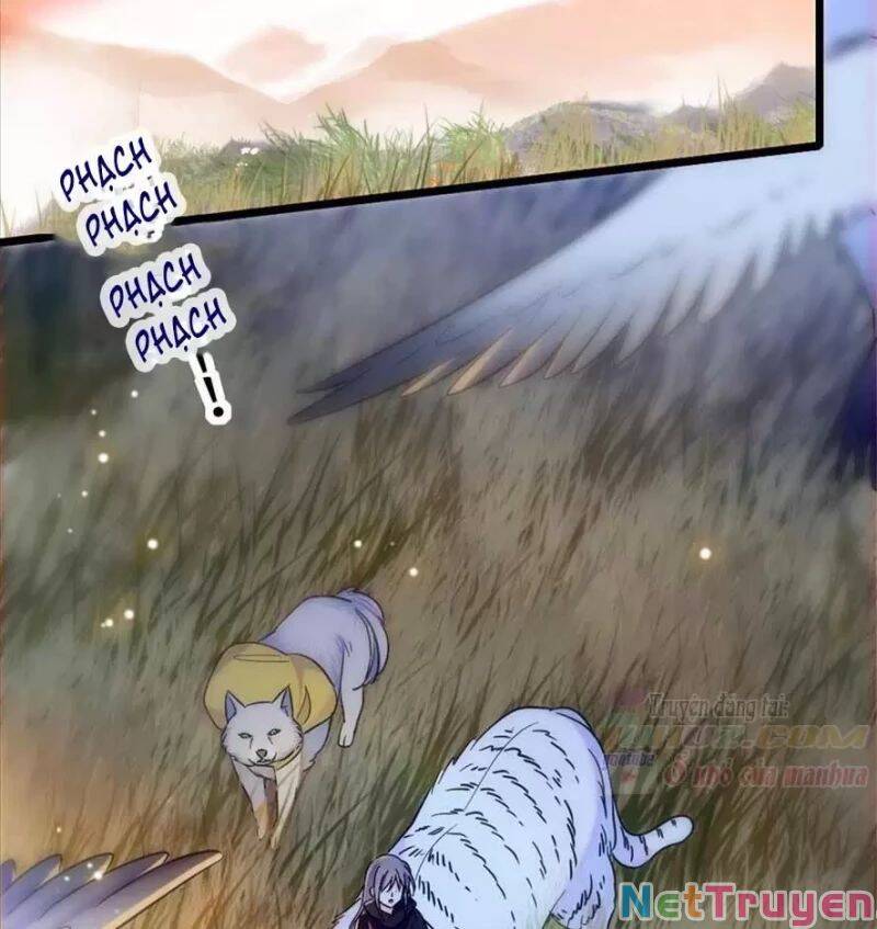 Manh Động Thú Thế - Chương 80