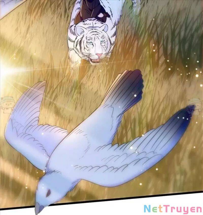 Manh Động Thú Thế - Chương 80