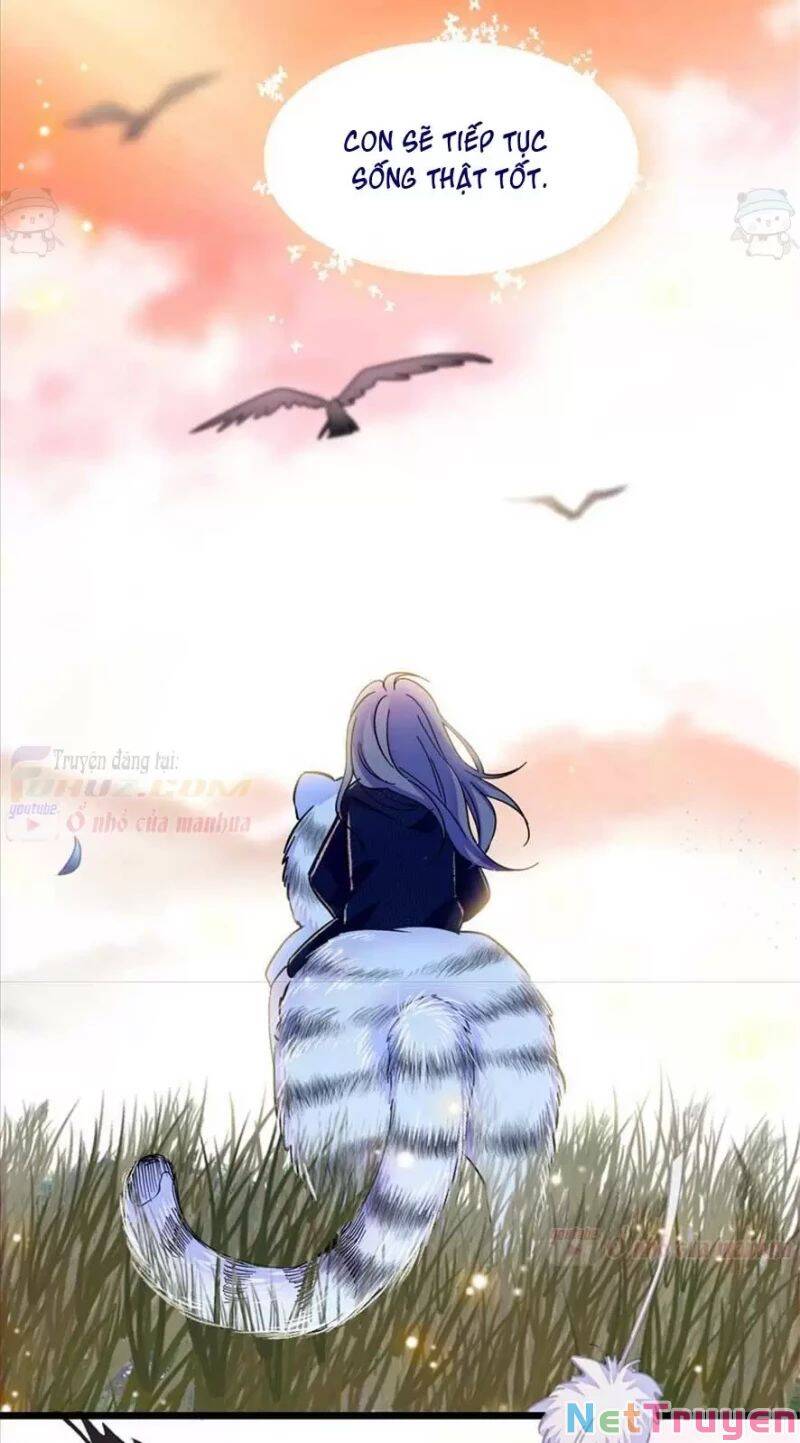 Manh Động Thú Thế - Chương 80