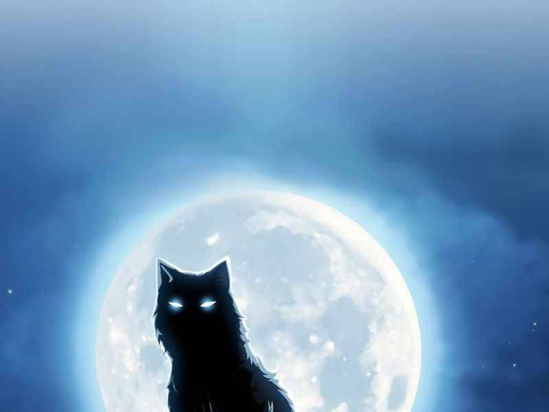 Có Thật Đây Là Anh Hùng Không? - Chương 3