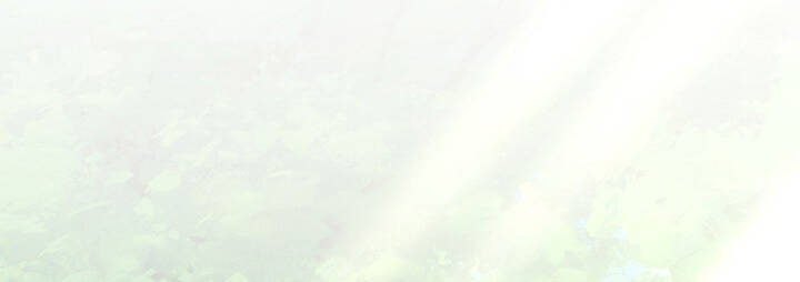 Anh Hùng Trở Lại - Chương 5