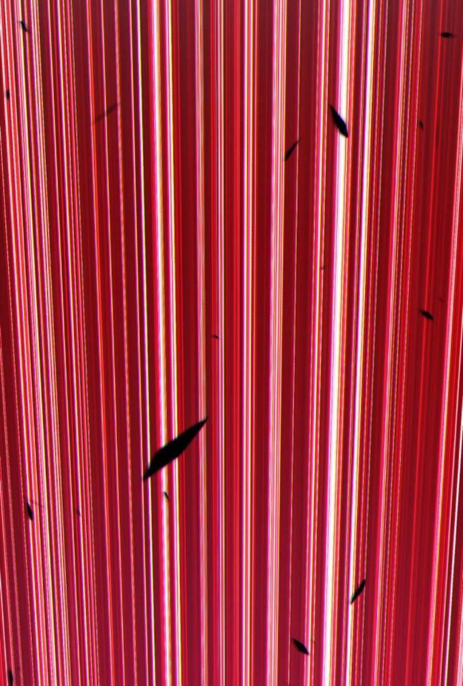 Gậy Gỗ Cấp 99+ - Chương 11